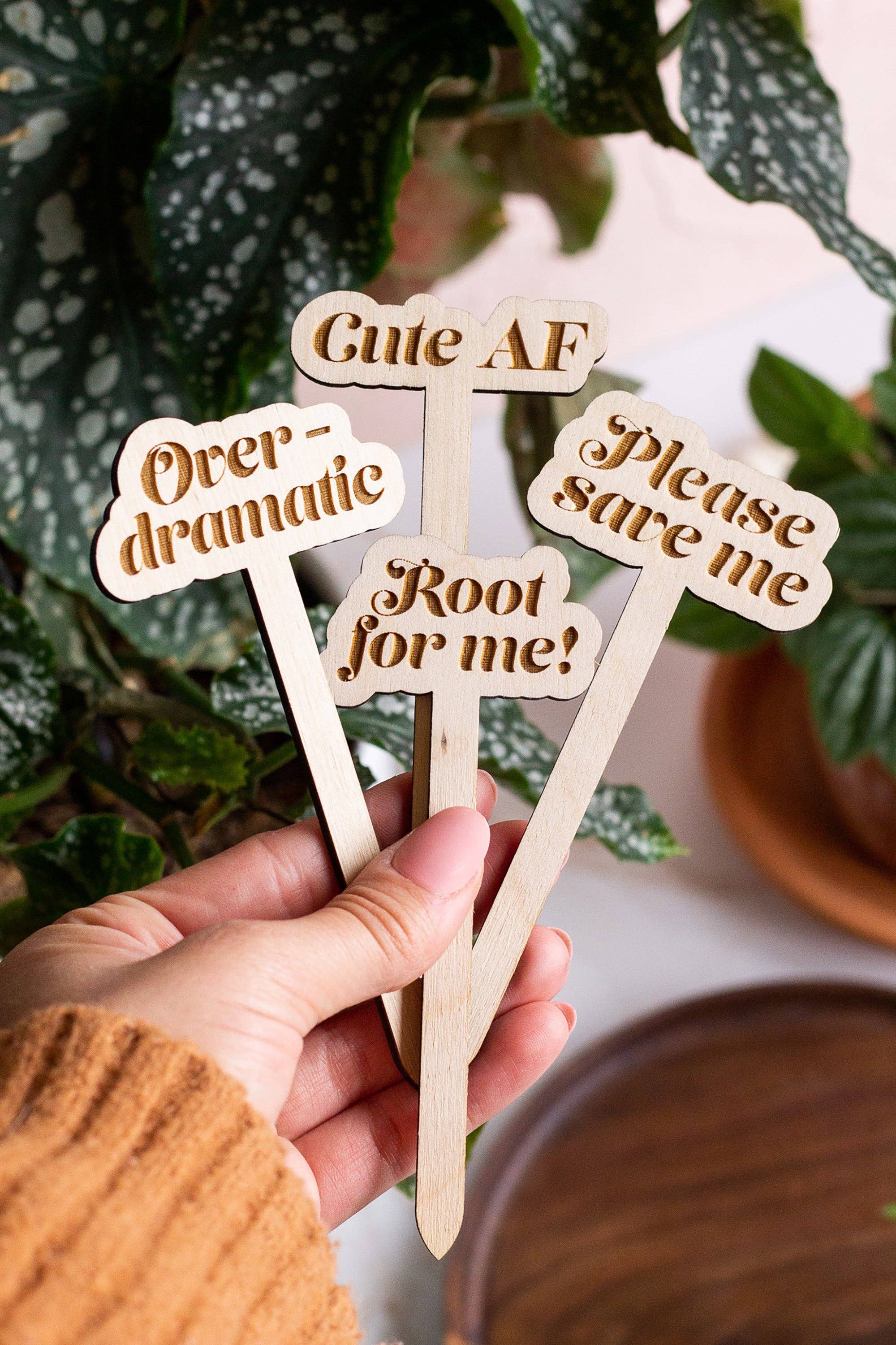 Funny Wooden Plant Markers: Thirst Trap