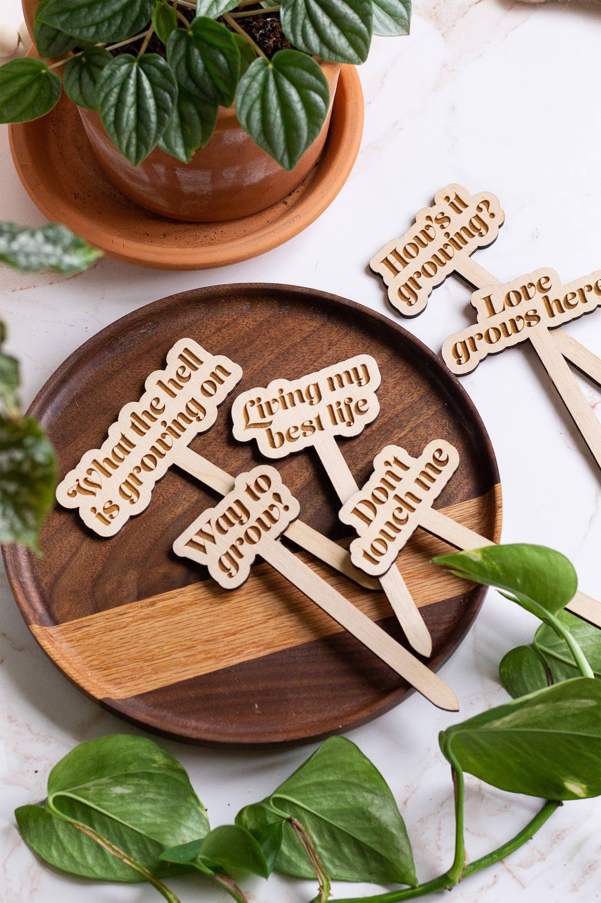 Funny Wooden Plant Markers: Thirst Trap