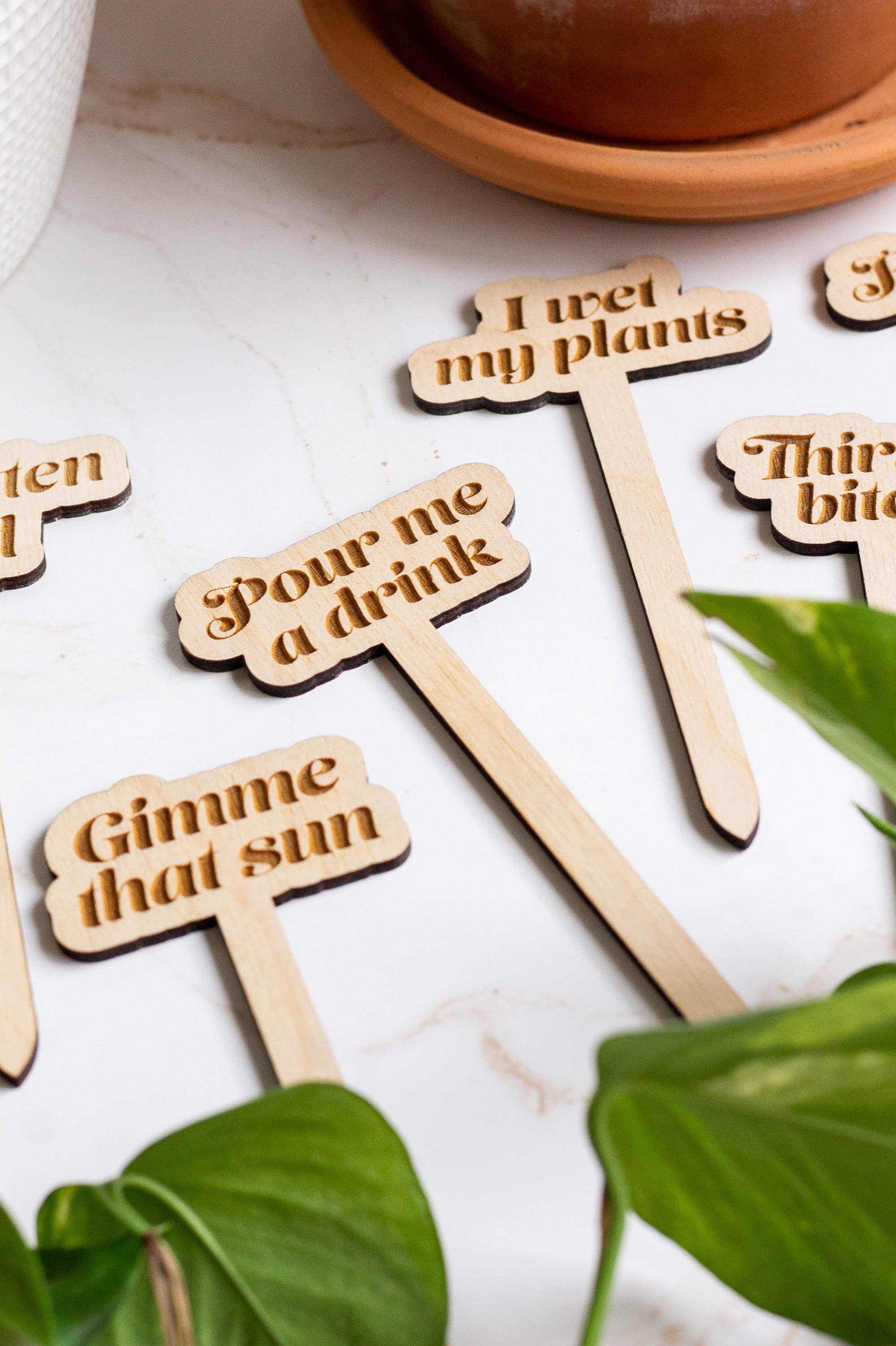 Funny Wooden Plant Markers: Thirst Trap