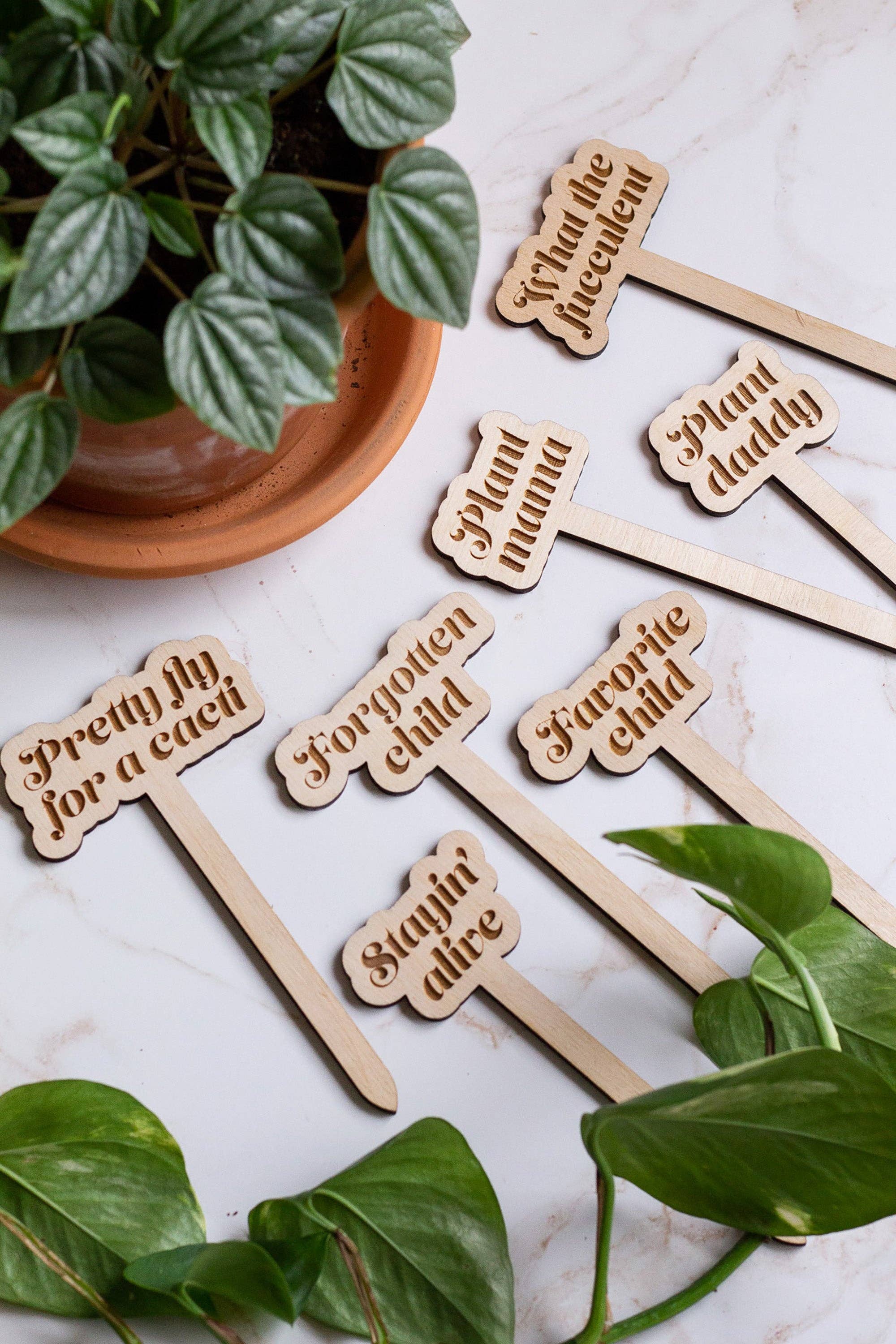 Funny Wooden Plant Markers: Thirst Trap