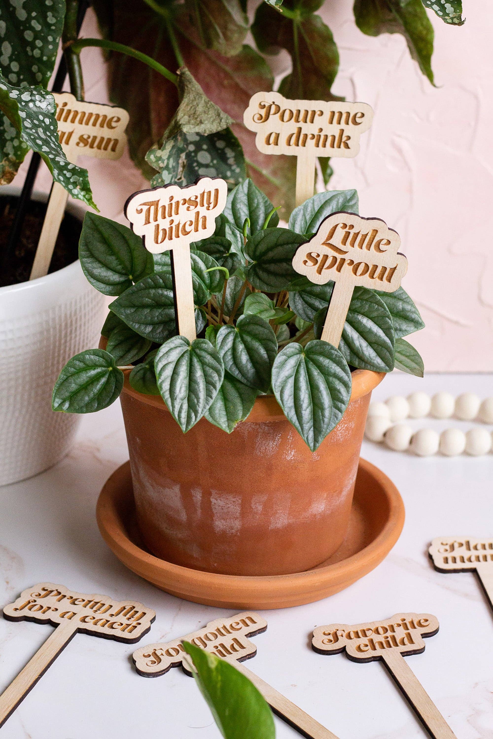 Funny Wooden Plant Markers: Thirst Trap