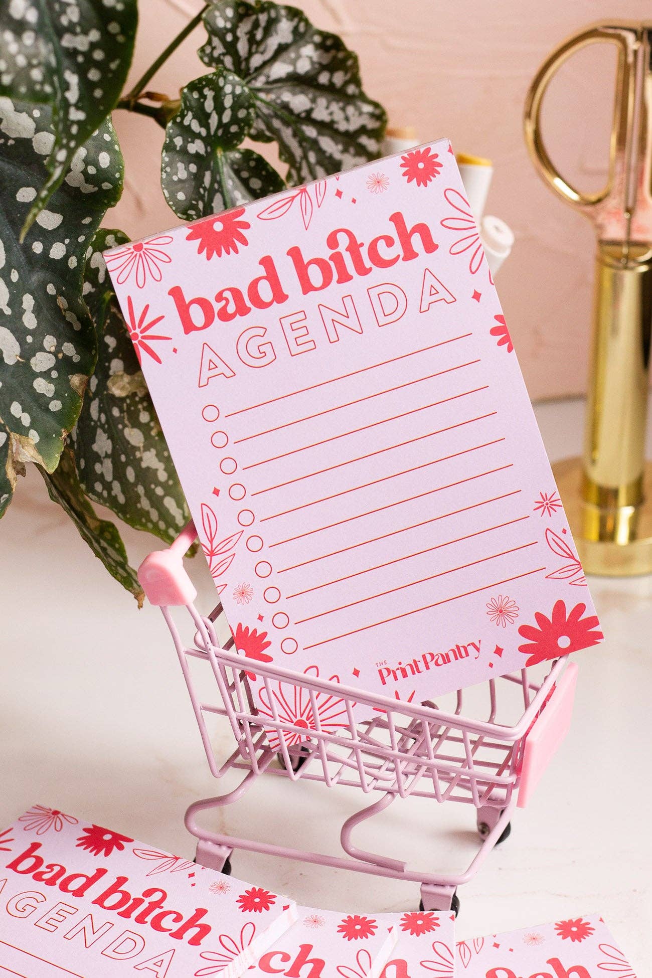 Bad Bitch Agenda Notepad