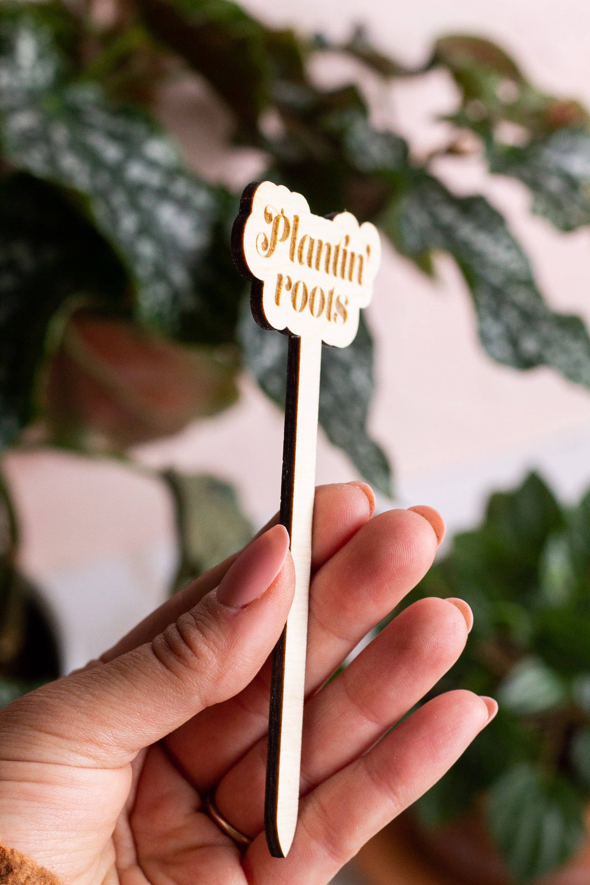 Funny Wooden Plant Markers: Thirst Trap