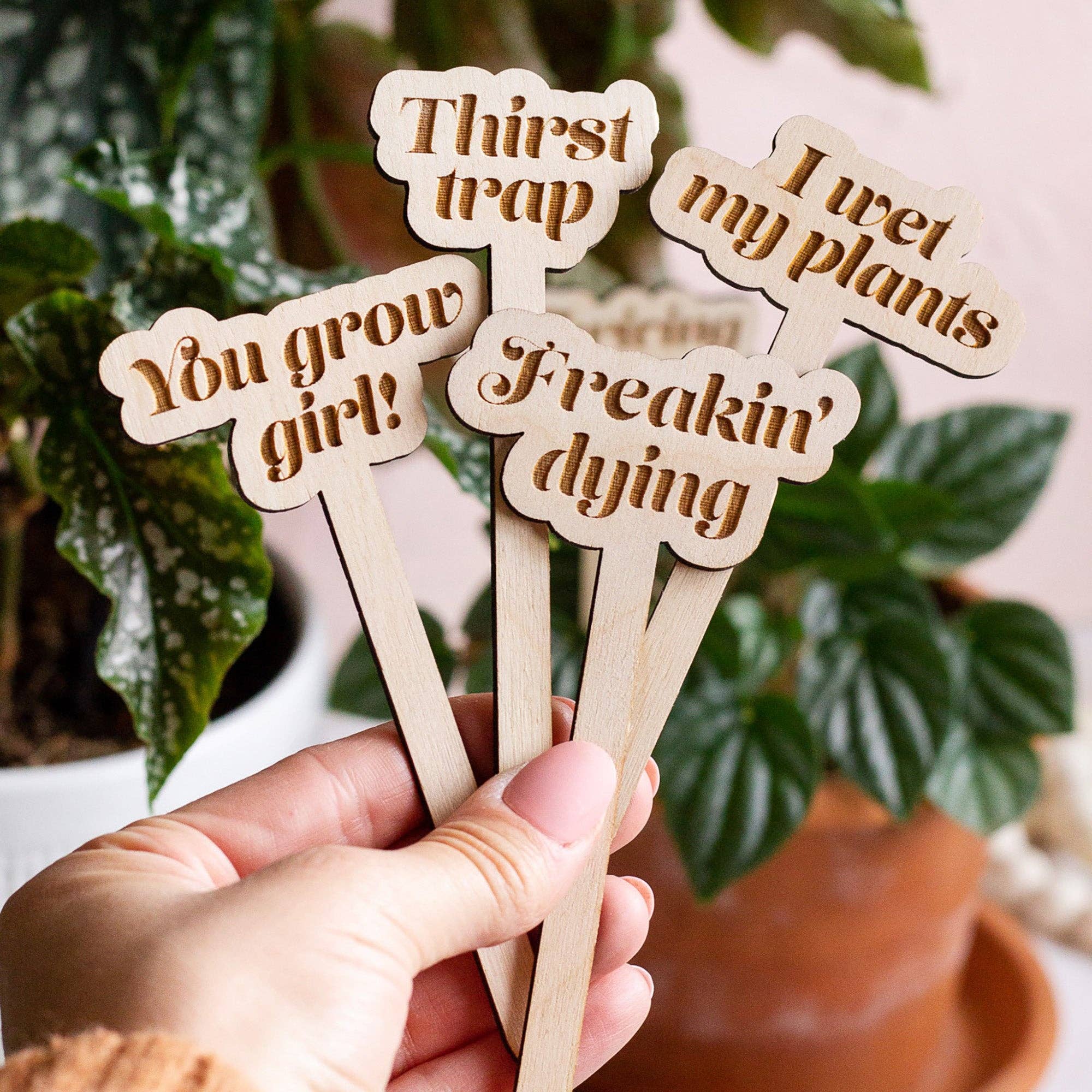 Funny Wooden Plant Markers: Thirst Trap